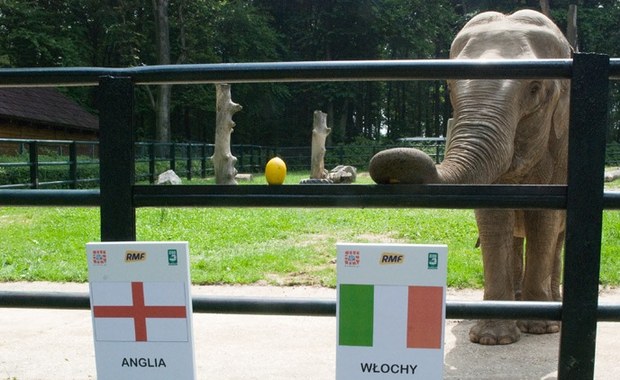 Citta stawia na Włochów w ostatnim ćwierćfinale Euro