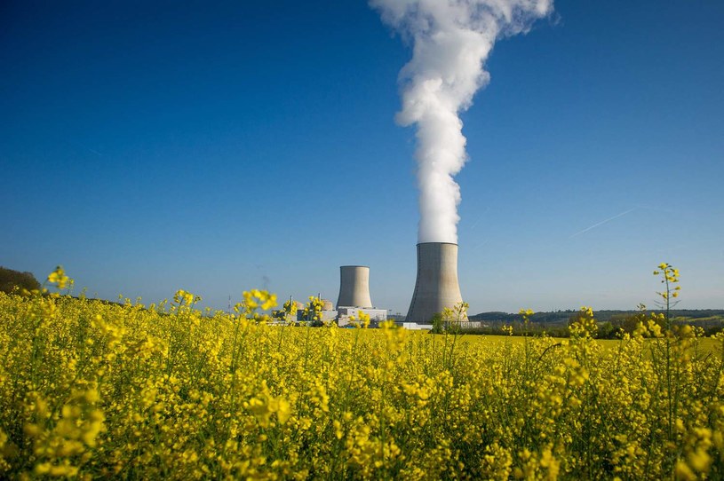 Civaux - elektrownia jądrowa EDF w centralnej Francji /AFP