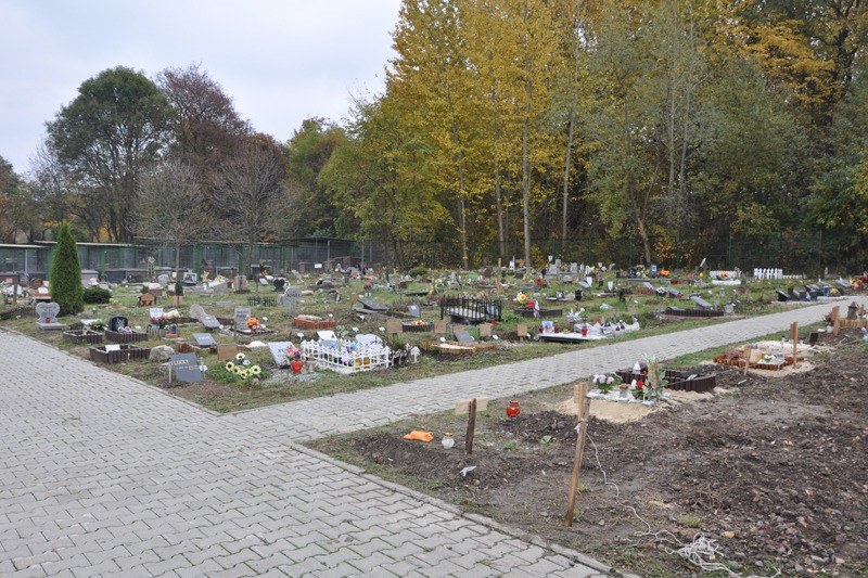 Cmentarz dla zwierząt w Bytomiu, fot. Andrzej Jaworski /archiwum prywatne