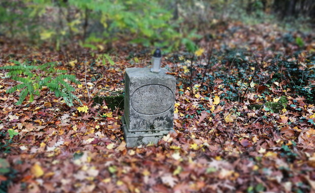 Cmentarz pochłonięty przez las i ludzką chciwość