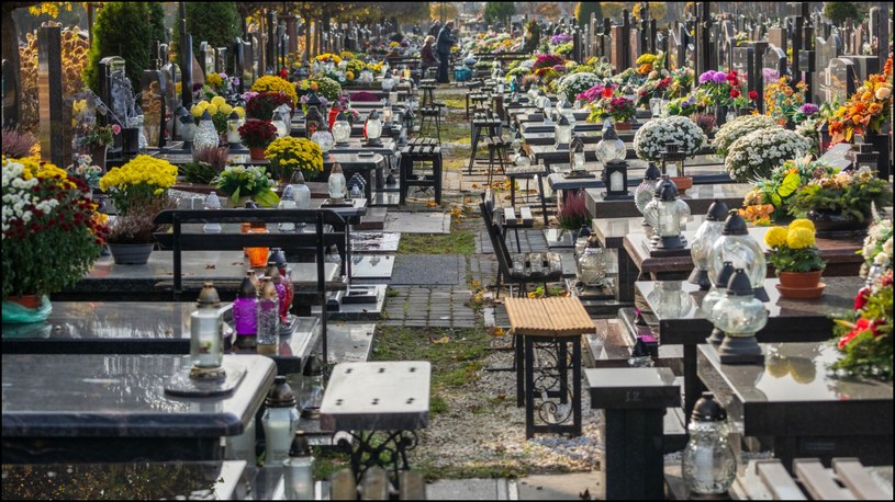 Cmentarz Północny w Warszawie. To tu zostało pochowane ciało / Arkadiusz Ziolek /East News