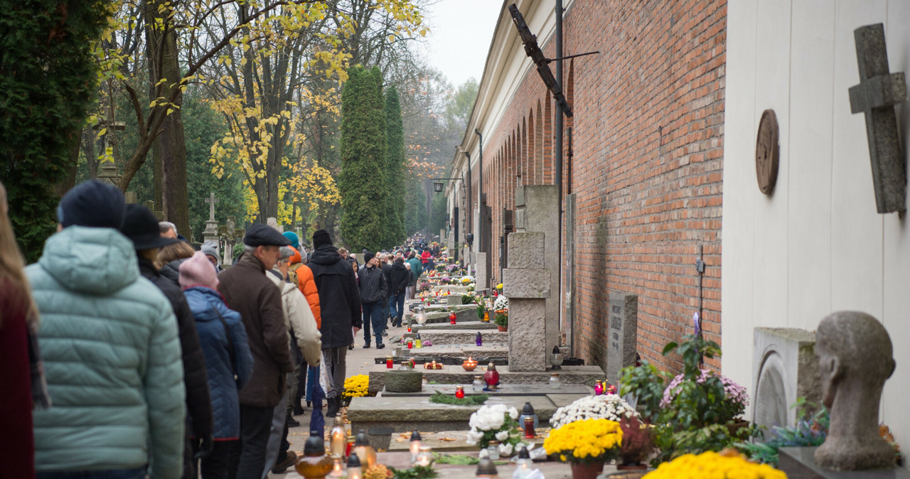 Cmentarz Powazkowski w Warszawie N/z Aleja - groby ludzi sztuki /Agnieszka Sniezko /East News