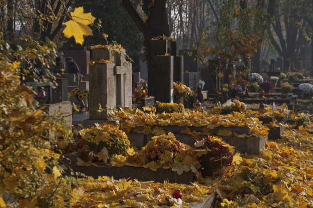 Cmentarz Rakowicki w Krakowie /Jerzy Ochoński   /PAP