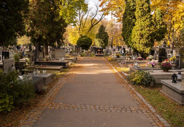 Cmentarz Rakowicki /Shutterstock