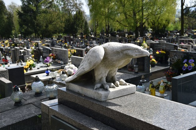 Cmentarz Salwatorski, na którym pochowana jest mama reżysera /Jacek Bednarczyk /PAP