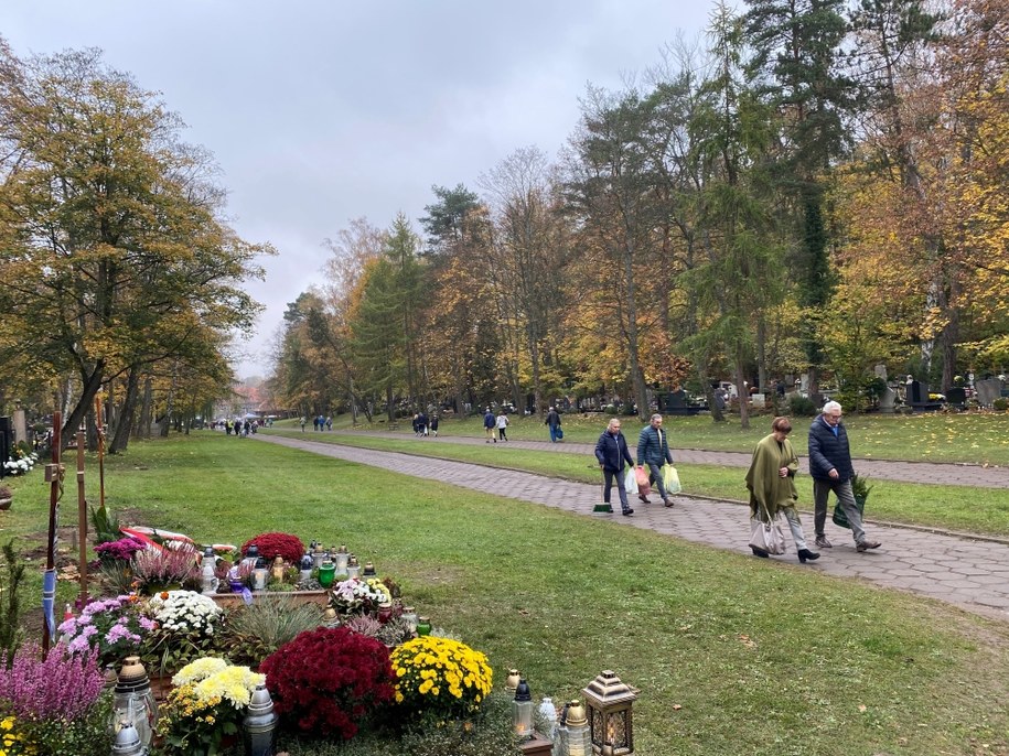 Cmentarz Srebrzysko w Gdańsku o poranku /Kuba Kaługa /RMF FM