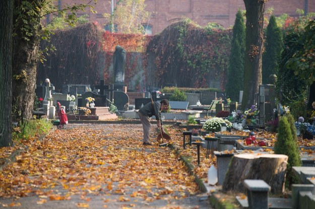 Cmentarz Stary w Łodzi / 	Grzegorz Michałowski    /PAP
