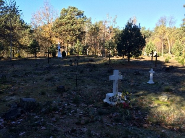 Cmentarz w miejscu wsi Ostrówki, której pół tysiąca mieszkańców wymordowano w rzezi wołyńskiej /Krzysztof Kot /RMF FM