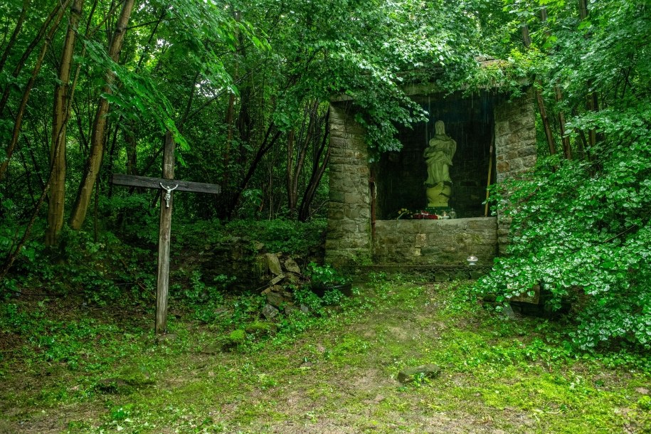 Cmentarz w nieistniejącej już wsi Puźniki /Wojtek Jargiło /PAP