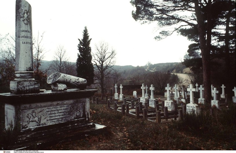 Cmentarz w Polonezkoy (Adampolu) /Wojtek Laski /East News