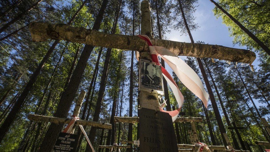 Cmentarz wojskowy w Miednoje /Sergei Ilnitsky /PAP/EPA