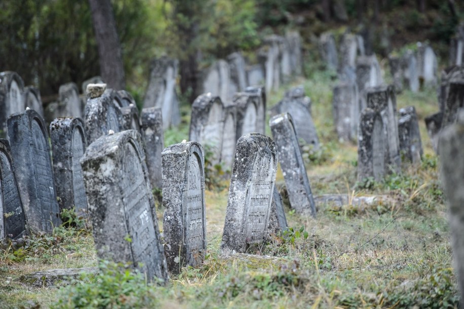 Cmentarz żydowski w Józefowie Biłgorajskim / 	Wojciech Pacewicz    /PAP
