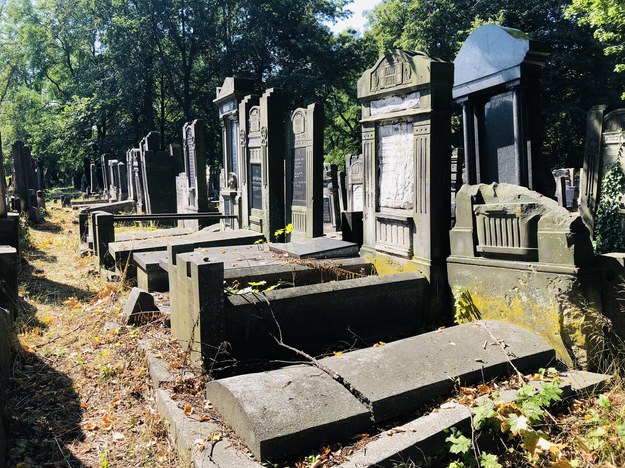 Cmentarz żydowski w Łodzi jest największą nekropolią tego wyznania w Polsce /Agnieszka Wyderka /RMF FM