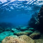 Cmentarzysko na środku oceanu. Stąd jeszcze nikt się nie wydostał 