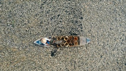 Cmentarzysko ryb. Azja zmaga się z zabójczym upałem