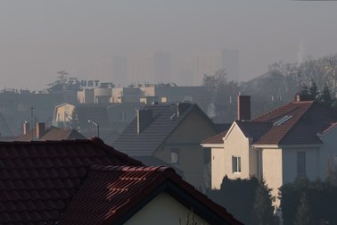 ​Co 15 minut ktoś w Polsce umiera przez zanieczyszczone powietrze