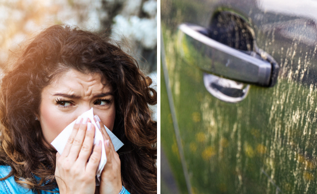 Co będzie nas uczulać w najbliższym czasie? Czy pył znad Sahary jest alergenem?