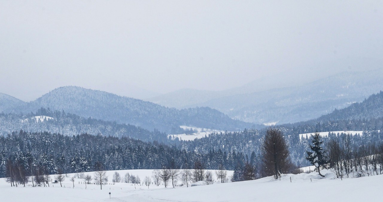 Co ciekawego w Lutowiskach? Brama Bieszczadów Wysokich /Krzysztof Kapica/Polska Press/East News /East News