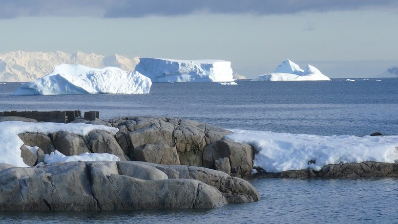 Co czeka na nas pod lodem Antarktyki? Nieznane formy życia! /Geekweek