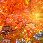 Co czeka nas w najbliższych miesiącach? Sprawdź prognozę pogody!