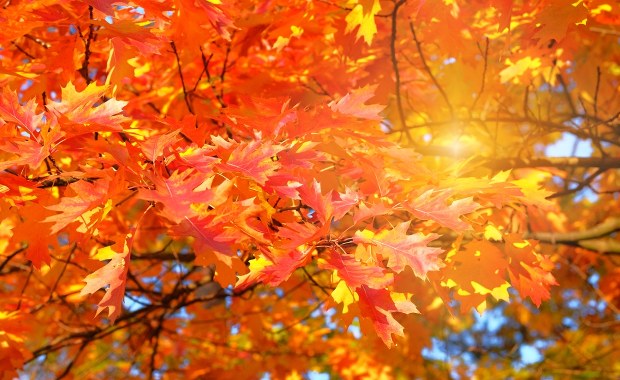 Co czeka nas w najbliższych miesiącach? Sprawdź prognozę pogody!