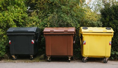 Co czwarty Polak nie wie, gdzie wyrzucać te śmieci. A kary są dotkliwe 