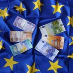 Co czwarty Polak za przyjęciem euro