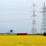 Co dalej z cenami prądu? Szef E.ON Polska: Trzeba rozmrażać tę zamrażarkę