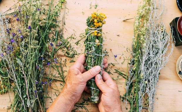 Co dalej z ustawą "lex szarlatan"? Zgłoszono tysiące uwag