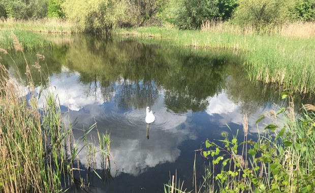 Co dalej z Żabimi Dołami? Wojewoda śląski wznowił postępowanie