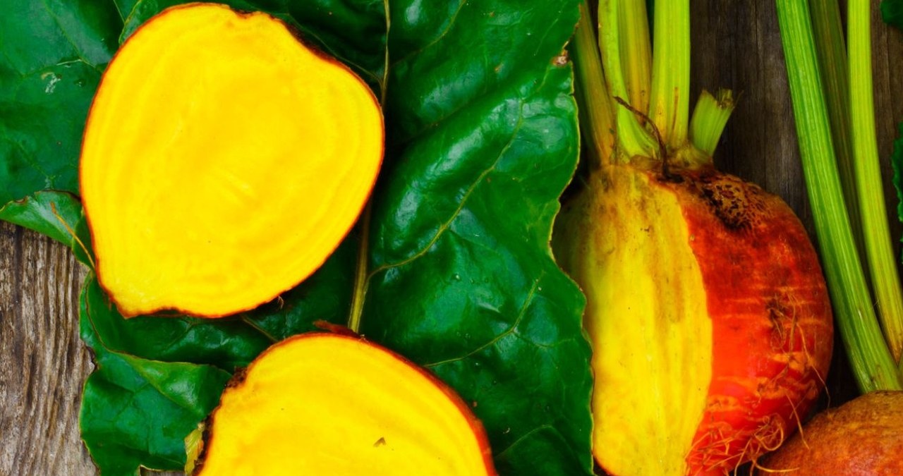 Co dobrego można zrobić z żółtych buraków? /aretcookstudio /123RF/PICSEL