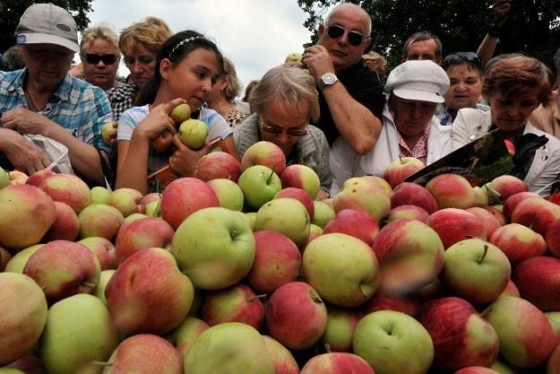 Co drugie jabłko w Rosji jest "biało-czerwone" /AFP