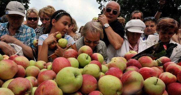 Co drugie jabłko w Rosji jest "biało-czerwone" /AFP