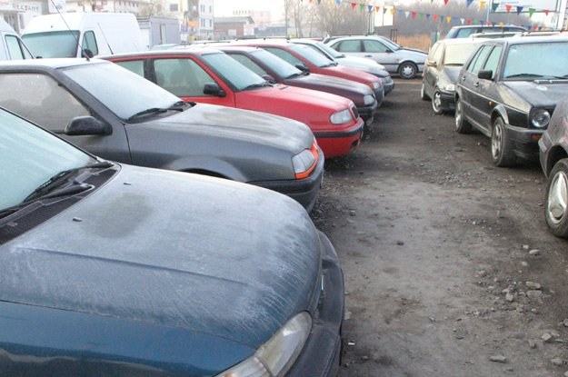 Co jedenasty Polak (9%) planuje w tym roku zakup samochodu /INTERIA.PL