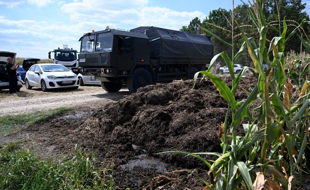​Co jeszcze skrywa pole kukurydzy? Drugi dzień poszukiwań w Osinach