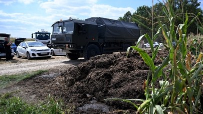 ​Co jeszcze skrywa pole kukurydzy? Drugi dzień poszukiwań w Osinach