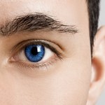 Co łączy ludzi o niebieskich oczach?