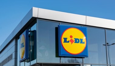 Co Lidl ma za darmo w tym tygodniu? Sprawdź nowe promocje!