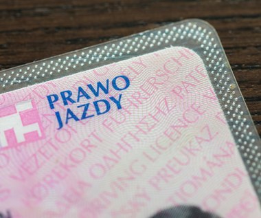 Co ma prawo jazdy kat. B do pola F.2 w dowodzie rejestracyjnym? No trochę ma