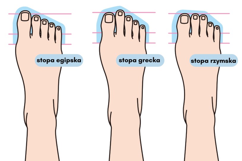 Co Oznacza Stopa Grecka Rzymska I Egipska arabska Co M wi O Tobie 
