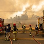 Co najmniej 23 osoby zginęły w pożarach lasów w Chile. Ogłoszono stan wyjątkowy