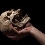  Co odnaleziono w Chinach? To nie jest neandertalczyk, ani Homo sapiens