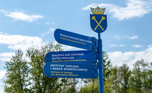 Co po maturze? Kiedy rekrutacja? Najpopularniejsze kierunki studiów