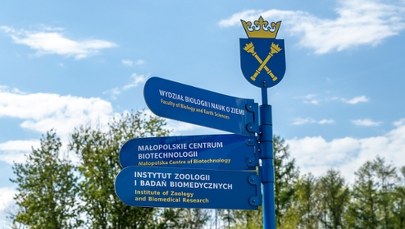 Co po maturze? Kiedy rekrutacja? Najpopularniejsze kierunki studiów