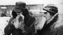 Co Polacy jedli podczas okupacji? Szokujące potrawy 