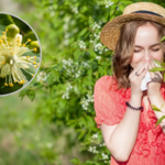 Co pyli w lipcu, uczula i wywołuje alergię?