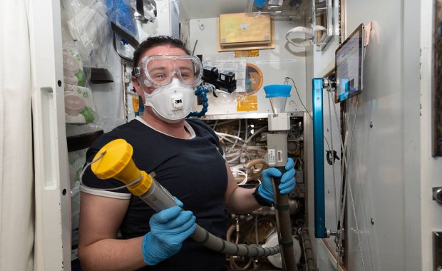 Co rośnie na Międzynarodowej Stacji Kosmicznej?