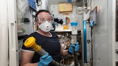 Co rośnie na Międzynarodowej Stacji Kosmicznej?