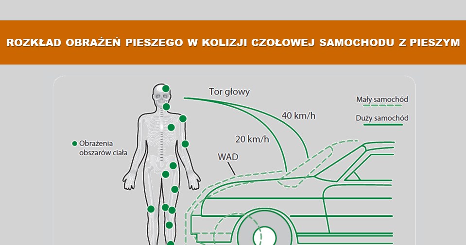 Co się dzieje w czasie kolizji z pieszym? /Informacja prasowa