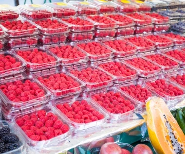 Co się dzieje z cenami malin? W tydzień spadek niemal o połowę